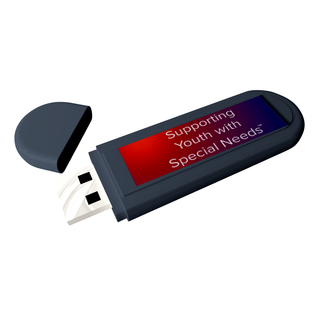 USB resource by Love and Logic for supporting youth with special needs effectively.
