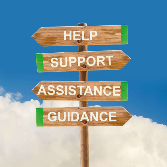 The Three Rules of Consultant Parenting