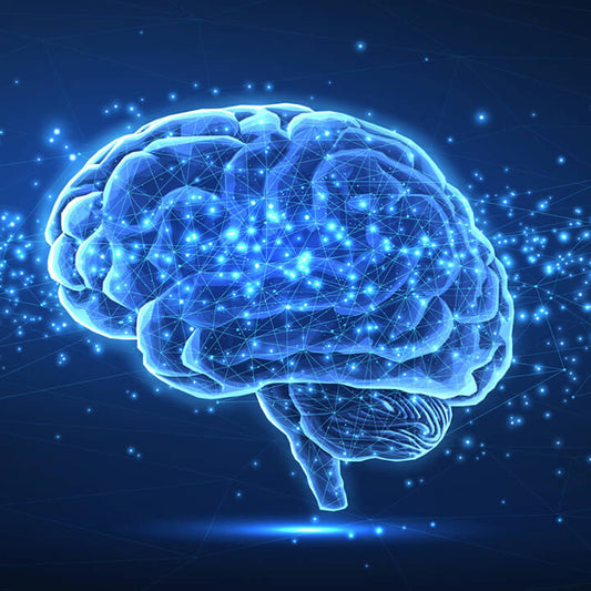 empathy is a key component of all Love and Logic techniques