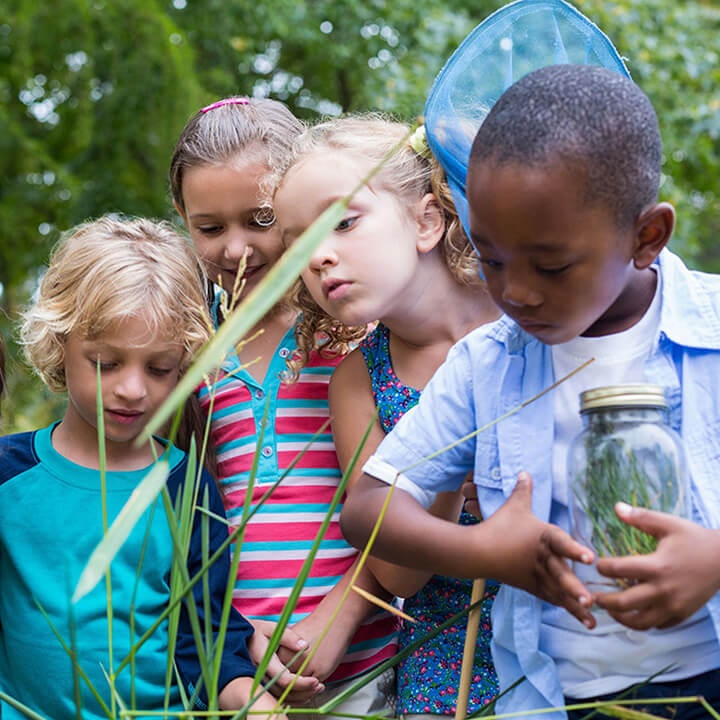 Young children exploring nature together outdoors, showing curiosity and a natural love of learning.