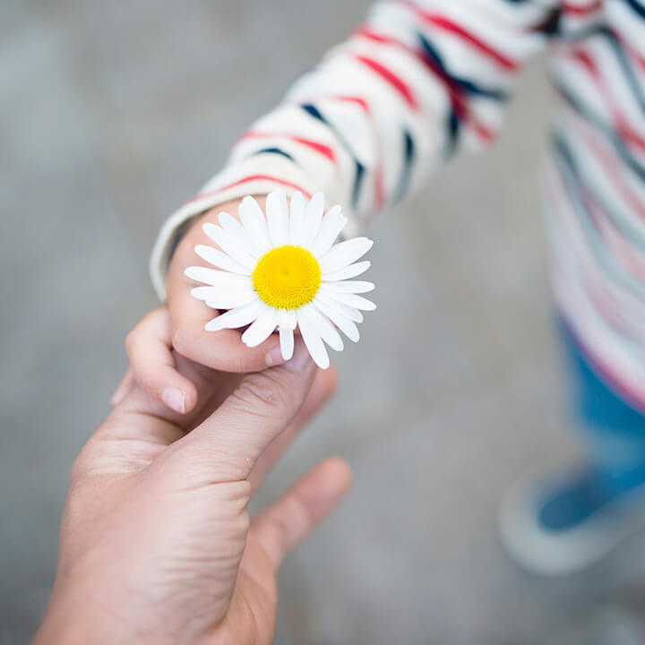 A child handing a daisy to an adult, symbolizing simple acts of gratitude and appreciation.