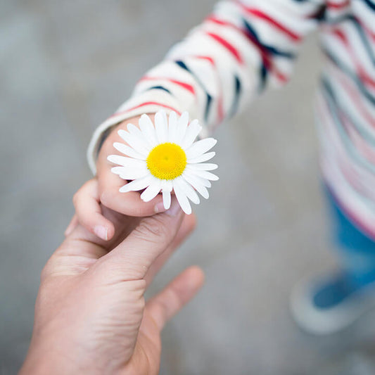 A child handing a daisy to an adult, symbolizing simple acts of gratitude and appreciation.