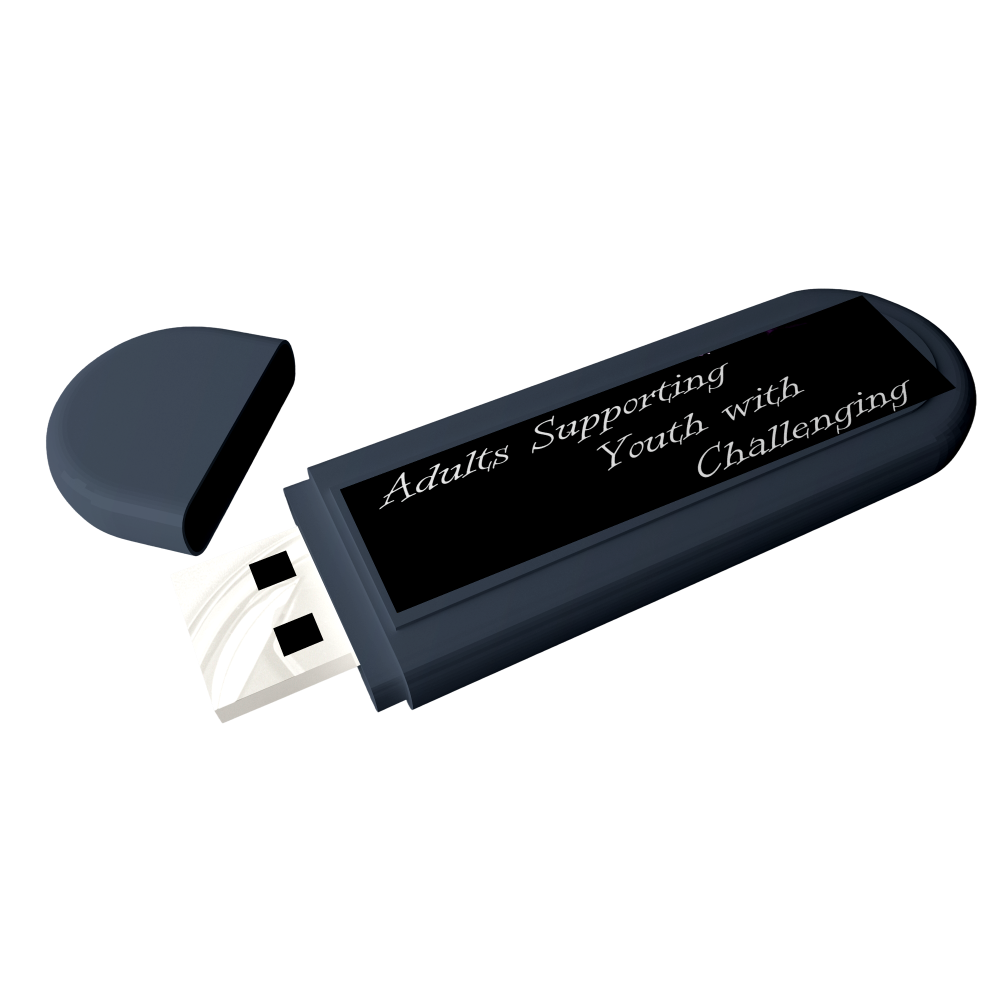 USB resource by Love and Logic for trauma-informed care to support youth with challenges.
