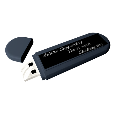 USB resource by Love and Logic for trauma-informed care to support youth with challenges.